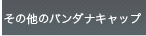 ���̑��̃o���_�i�L���b�v