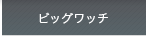 �r�b�O���b�`